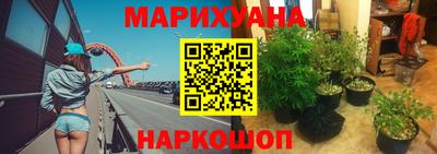 индика Бузулук