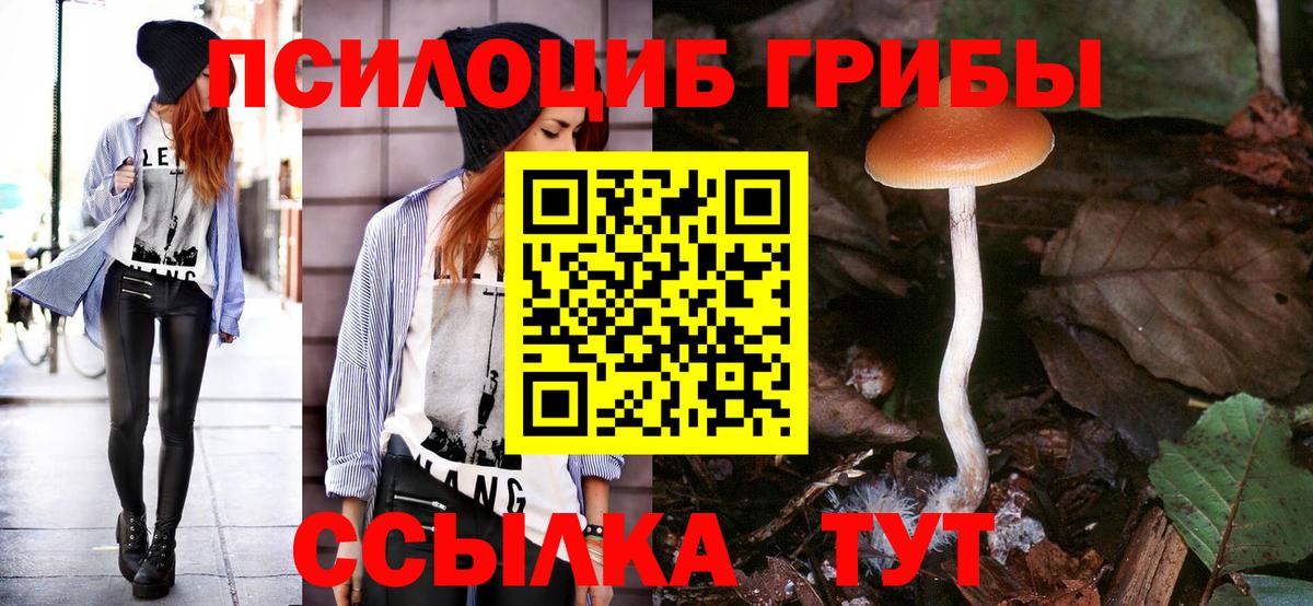 Галлюциногенные грибы Psilocybe  Вход с VPN  Псилоцибиновые грибы GOLDEN TEACHER  как найти наркотики  Киреевск 