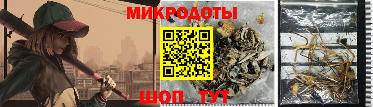 Псилоцибиновые грибы GOLDEN TEACHER Киреевск